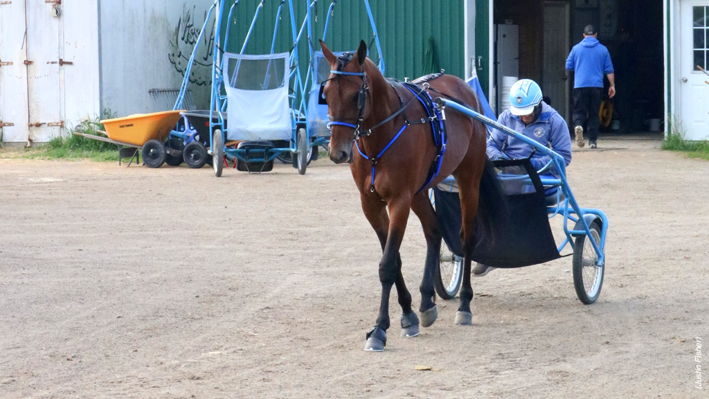 Prince Hal Hanover