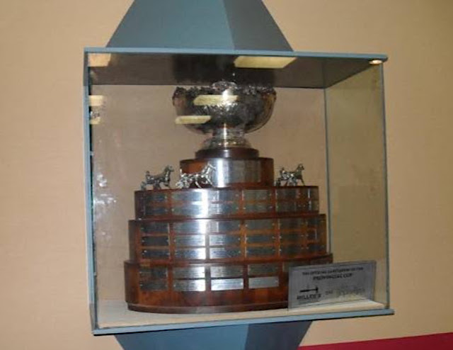 Provincial Cup trophy