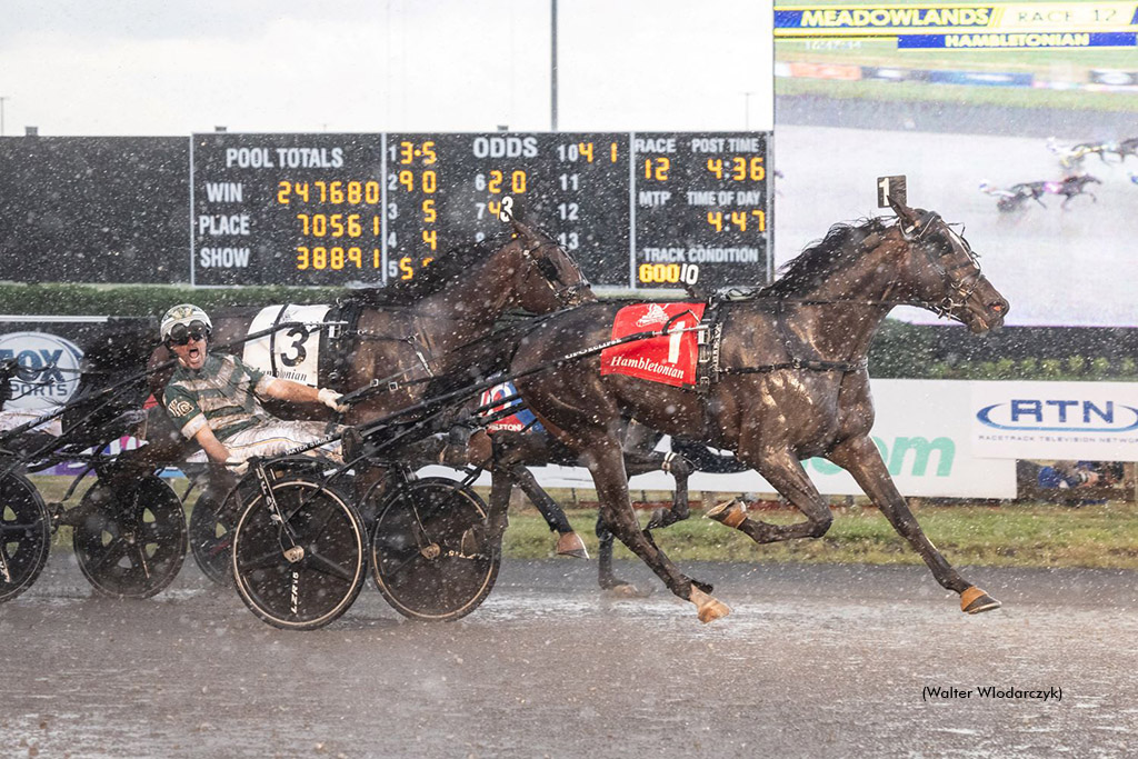 "Race Action Hambo" by Walter Wlodarczyk