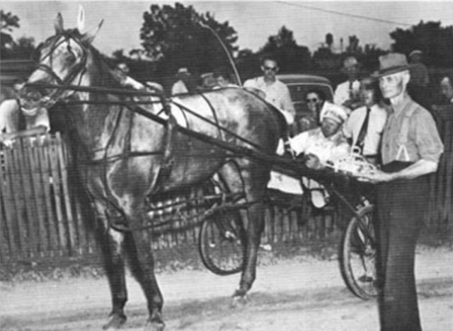 Silver Lee