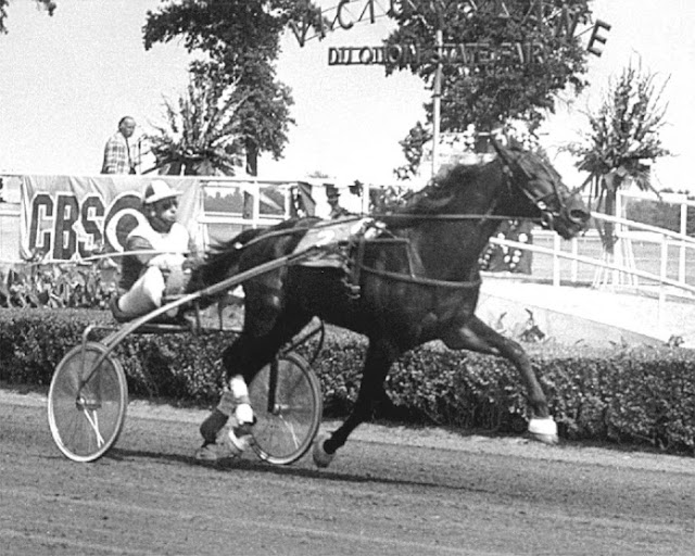 Steve Lobell