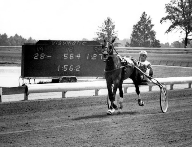 Steve Lobell