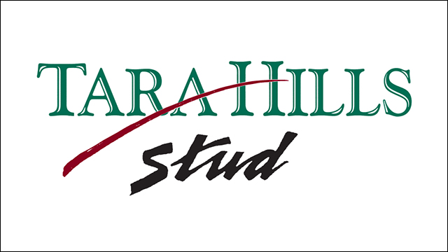 Tara Hills Stud Logo