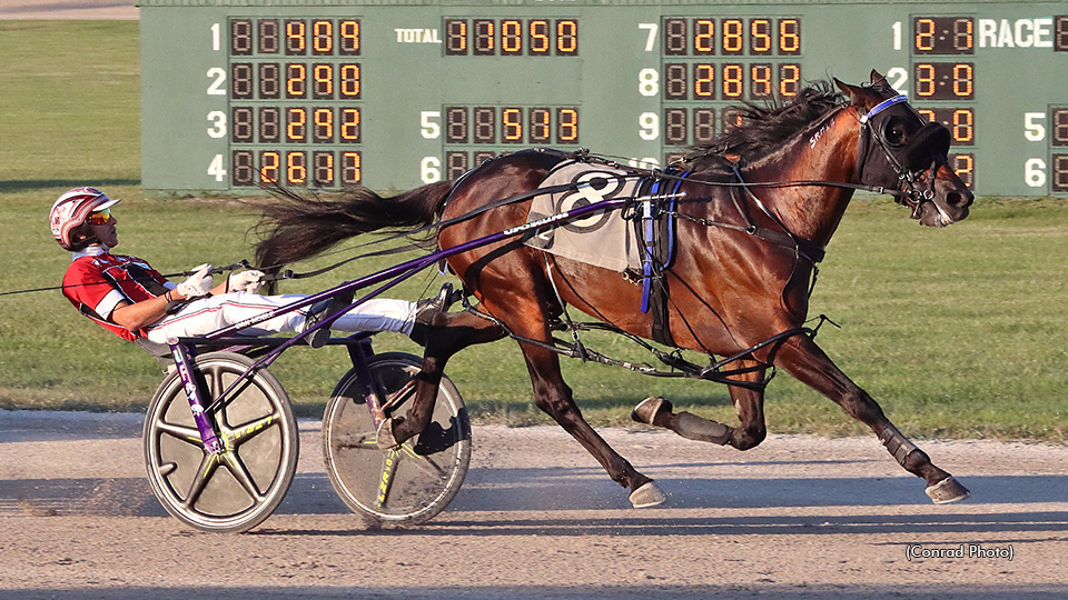 Tattoo Artist winning at Scioto Downs