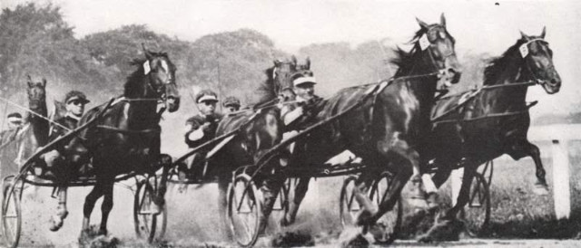 Racing at Thorncliffe