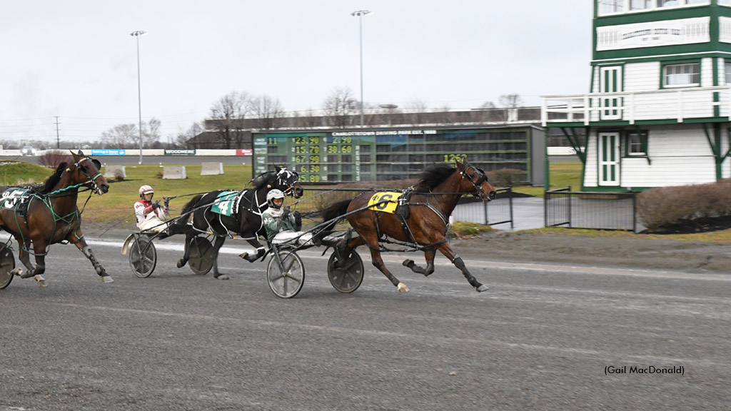 Marc Campbell winning with Tradition to wrap up the driving challenge title