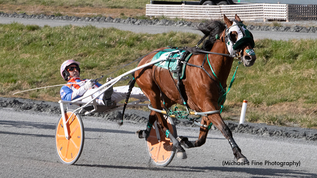 Uptown Hanover winning the Penny Bath Memorial Stakes at Fraser Downs