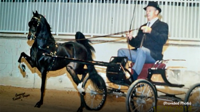 Vern Brown with show horse Nite Performance