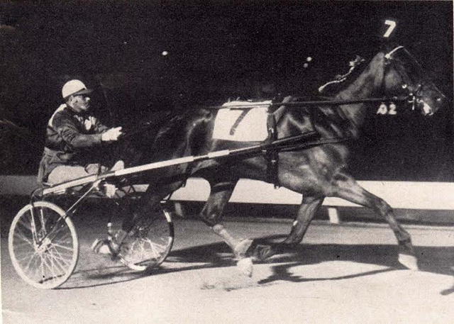 A horse racing down a track