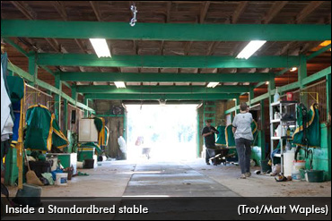Know More About Biosecurity