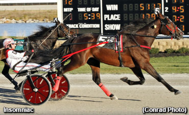Dayton Open Trot To Insomniac