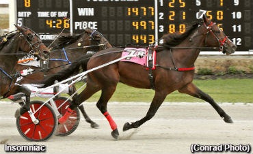 Dayton Open To Insomniac