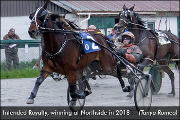 'Royalty' Returns To Red Shores
