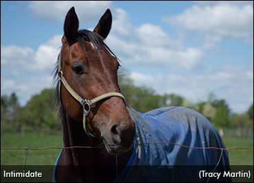 Zeron Looks To Intimidate