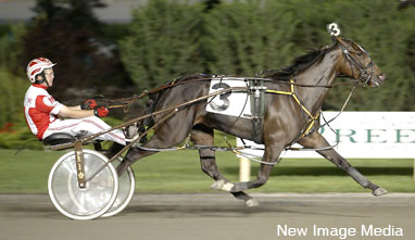 Pacing Superstar Invitro Retired