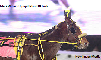 Winacott On Upcoming Milestone