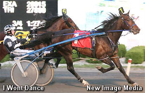 OSS Gold For I Wont Dance