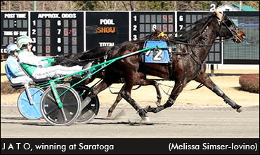 A Horse & Trainer's Special Bond