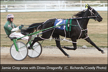 Singing In The Backstretch