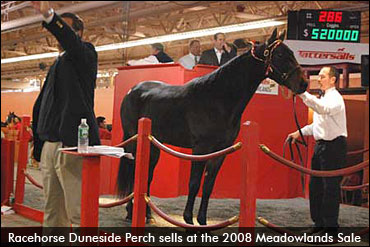 January Select Sale Results