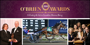 Snyder Thrilled Beyond Delight