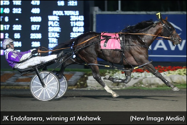 Top-Earning Four-Year-Old Returns