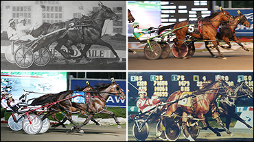 Participants Share Campbell Stories