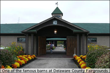 Photos From Delaware County Fair