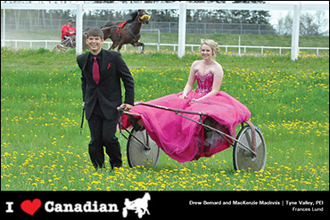 Meet June’s Heart Of Harness Racing Photographer