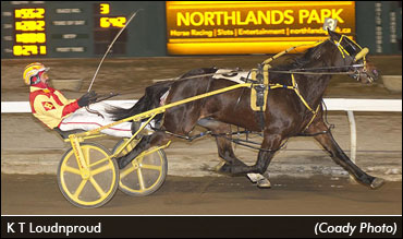 The Little Horse That Could