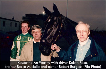 Full Siblings, Same Card, Different Gait