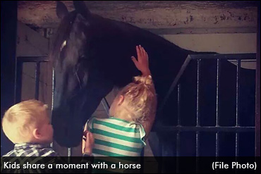 The Courage To Continue On