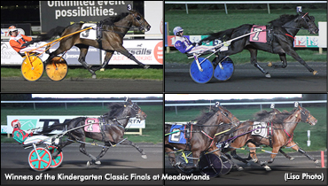 Kindergartens Complete At Meadowlands