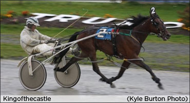 Stakes Packed Card At Truro