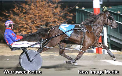 Silver Reign Sweep For Warrawee Koine? Silver Reign Sweep For Warrawee Koine?