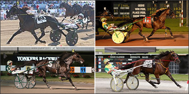 An Owner's Year Full Of Highlights