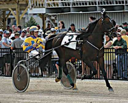 Trot takes a walk into the past with Hall of Fame Horseman Keith Waples