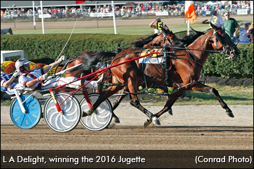 A Delightful Ownership Opportunity