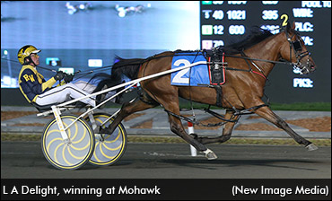 A 'Delight' Far From Ordinary