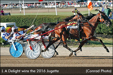 L A Delight Wins Jugette