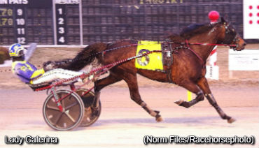 Flamboro Preferred To Lady Caterina