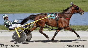 Lady Shadow Matches Miami Record