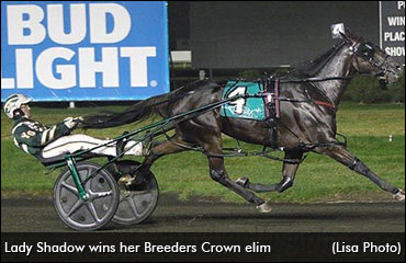 Tweaks Pay Off For Lady Shadow