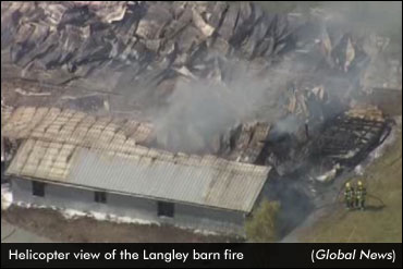 Update: Fire At Langley, BC Barn