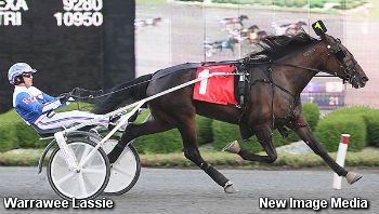 In Free Repeat For Warrawee Lassie