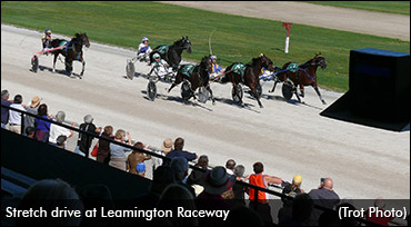Leamington Meet Starts Sunday