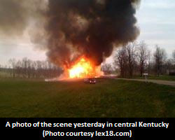 Stallion Killed After Freak Accident