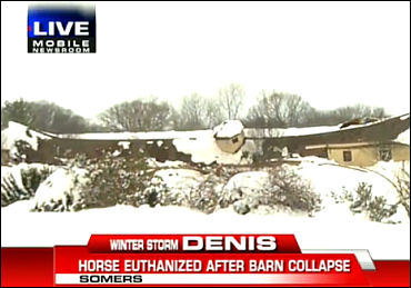 Lindy Farms Barn Collapse; Mares Euthanized