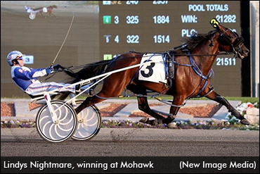 Impressive Efforts In Town Pro