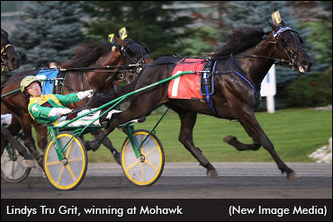 January Select Mixed Sale Complete